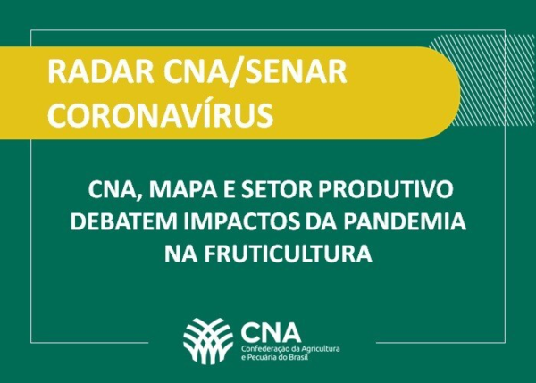 CNA Mapa E Setor Produtivo Debatem Impactos Da Pandemia Na