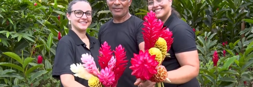 Senar ajuda família de Mato Grosso a recuperar cultivo de flores