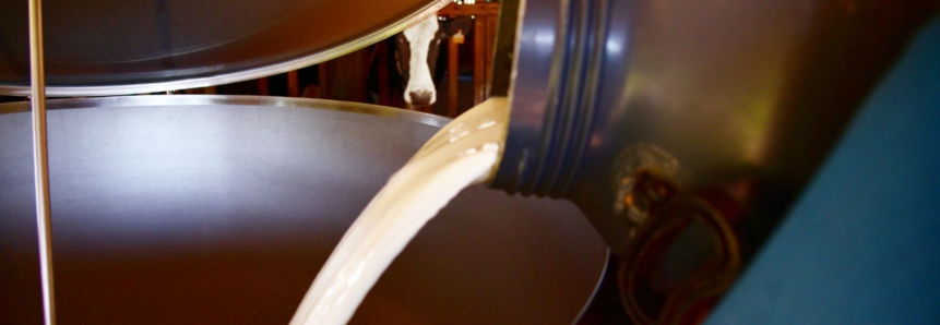 Preço do litro de leite pago ao produtor rural teve aumento de 35% de janeiro a julho de 2021