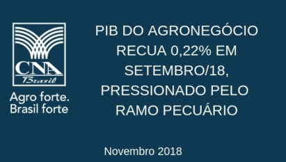 PIB DO AGRONEGÓCIO RECUA 0,22% EM SETEMBRO/18, PRESSIONADO PELO RAMO PECUÁRIO