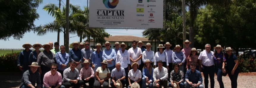 CNA e Federações visitam produção de grãos, fibras e confinamento na Bahia