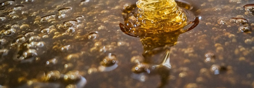 CNA leva produtores de mel para missão comercial no Chile
