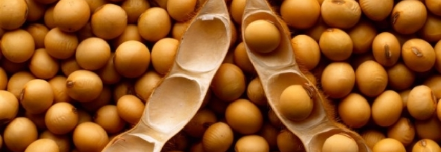 USDA: EUA já embarcaram mais de 47 mi de t de soja e chegam a 86% do esperado