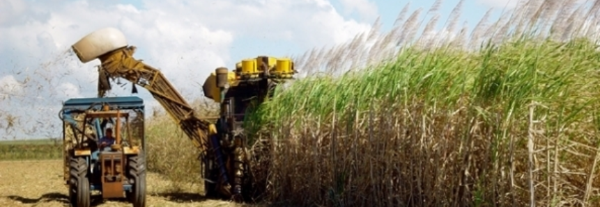 Moagem de cana do centro-sul tem atraso que derruba produção de açúcar e etanol