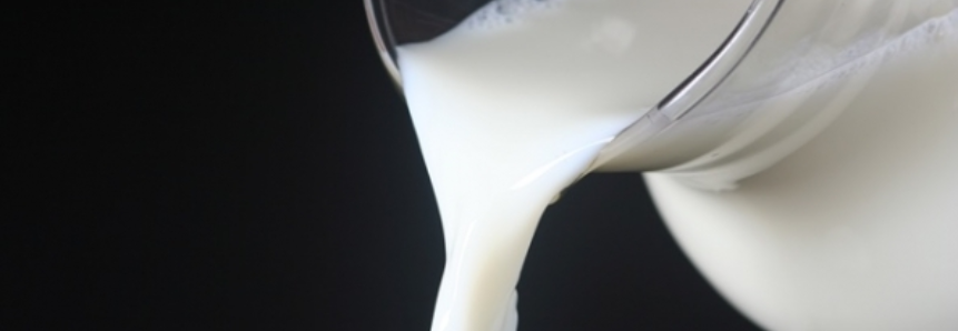 Entressafra do leite traz expectativa de aumento no preço do alimento em MG