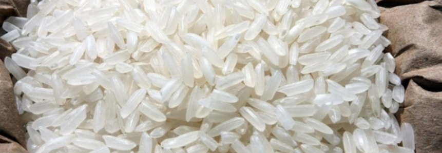 Soja e arroz tem excelente perspectiva de produtividade