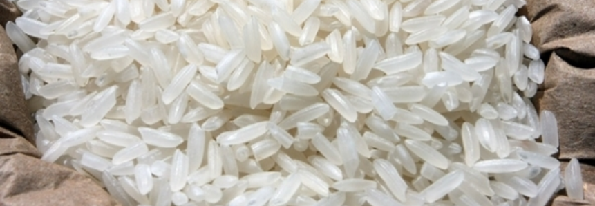 Importadores de arroz vêm ao Brasil e podem fechar US$ 10 milhões em negócios