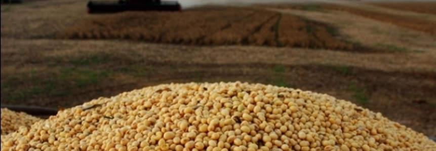 USDA: EUA já supera projeção de vendas de soja da safra 2016/17 em 600 mil t