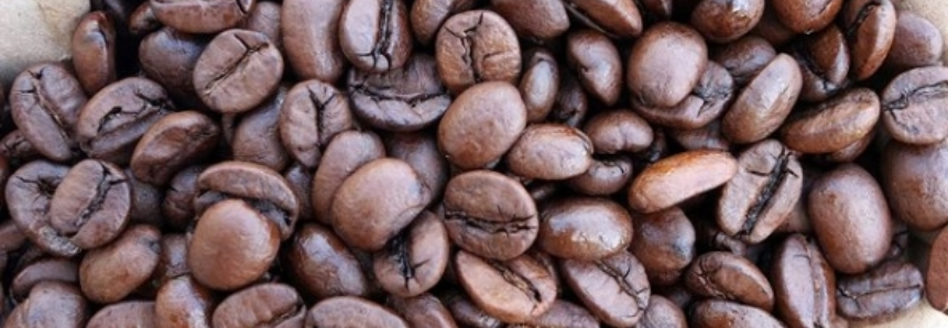 Café: Bolsa de Nova York tem baixa próxima de 100 pts nesta 2ª em ajustes e com informações da oferta