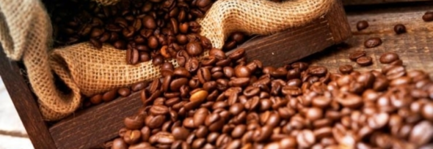Estoques privados de café: Pesquisa deve ser respondida até dia 14 deste mês