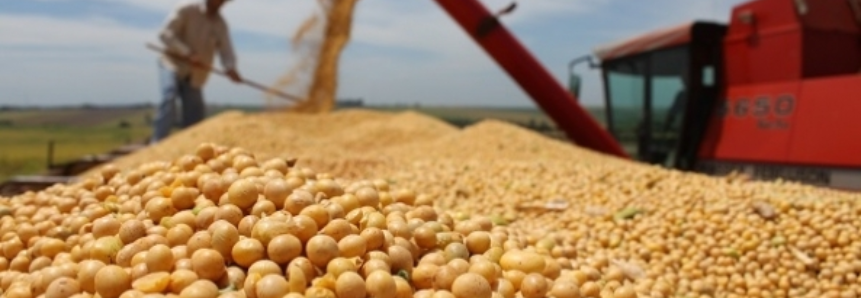 Colheita recorde de soja abre espaço para aumento de plantio no Brasil na próxima safra