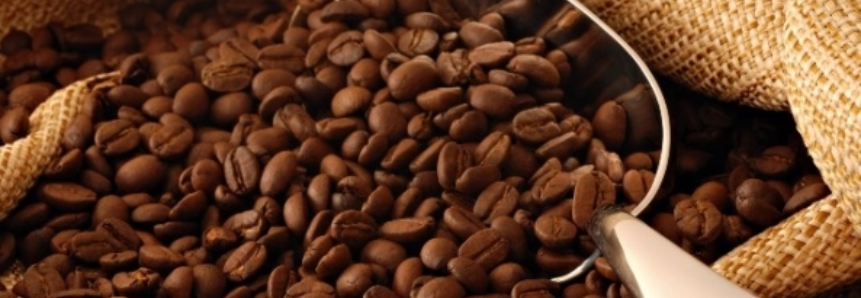 Começa pesquisa anual de estoques privados de café