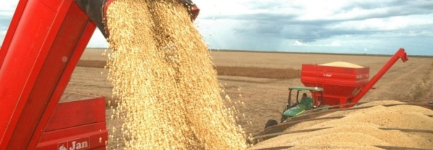 Exportação de soja do Brasil irá subir para novo recorde, diz Oil World