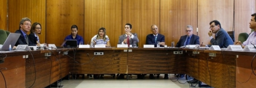 Muni Lourenço preside reunião da Câmara Setorial de Fibras Naturais, em Brasília