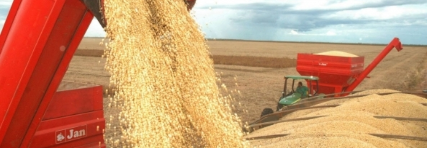 USDA: Embarques semanais de soja e grãos dos EUA ficam dentro das expectativas do mercado