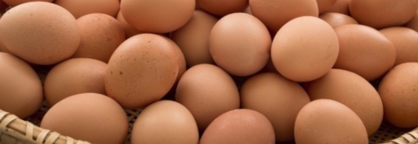 Preço médio semanal da caixa de ovos brancos