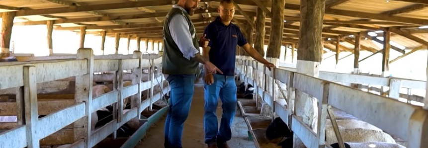 ATeG do Senar ajuda criador de ovinos do DF a melhorar produção de carne