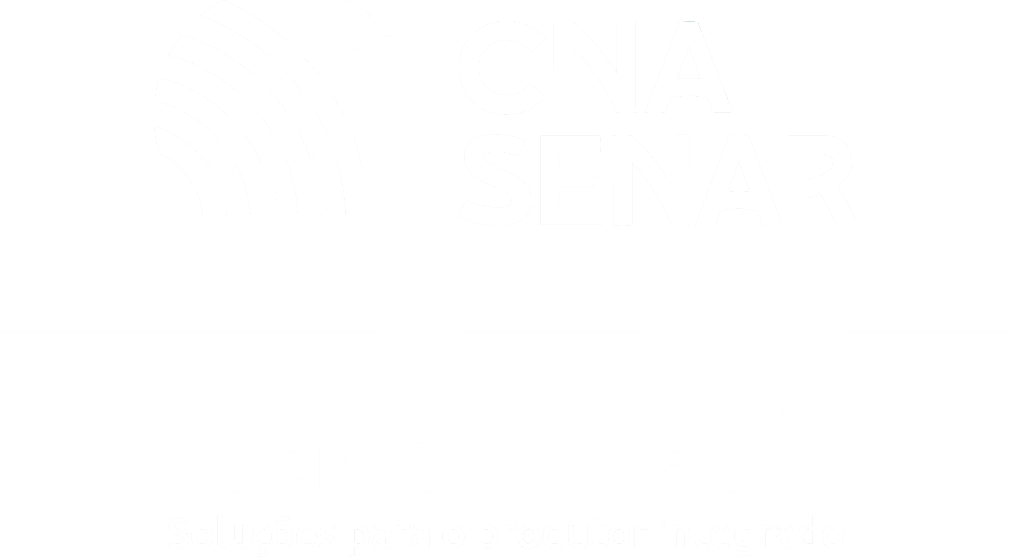 CADEC Brasil