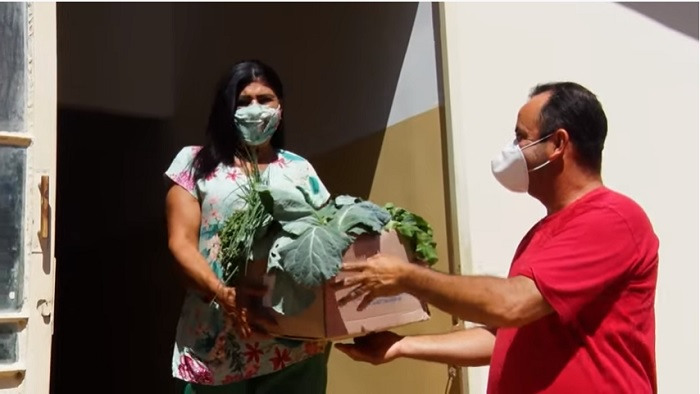 Alimentos cultivados na horta urbana são doados