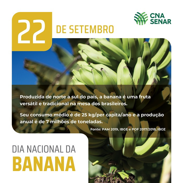 22 Dia Nacional da banana 02 01