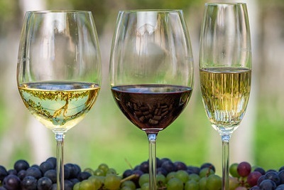 2023 - PRÊMIO CNA BRASIL ARTESANAL: VINHOS E ESPUMANTES