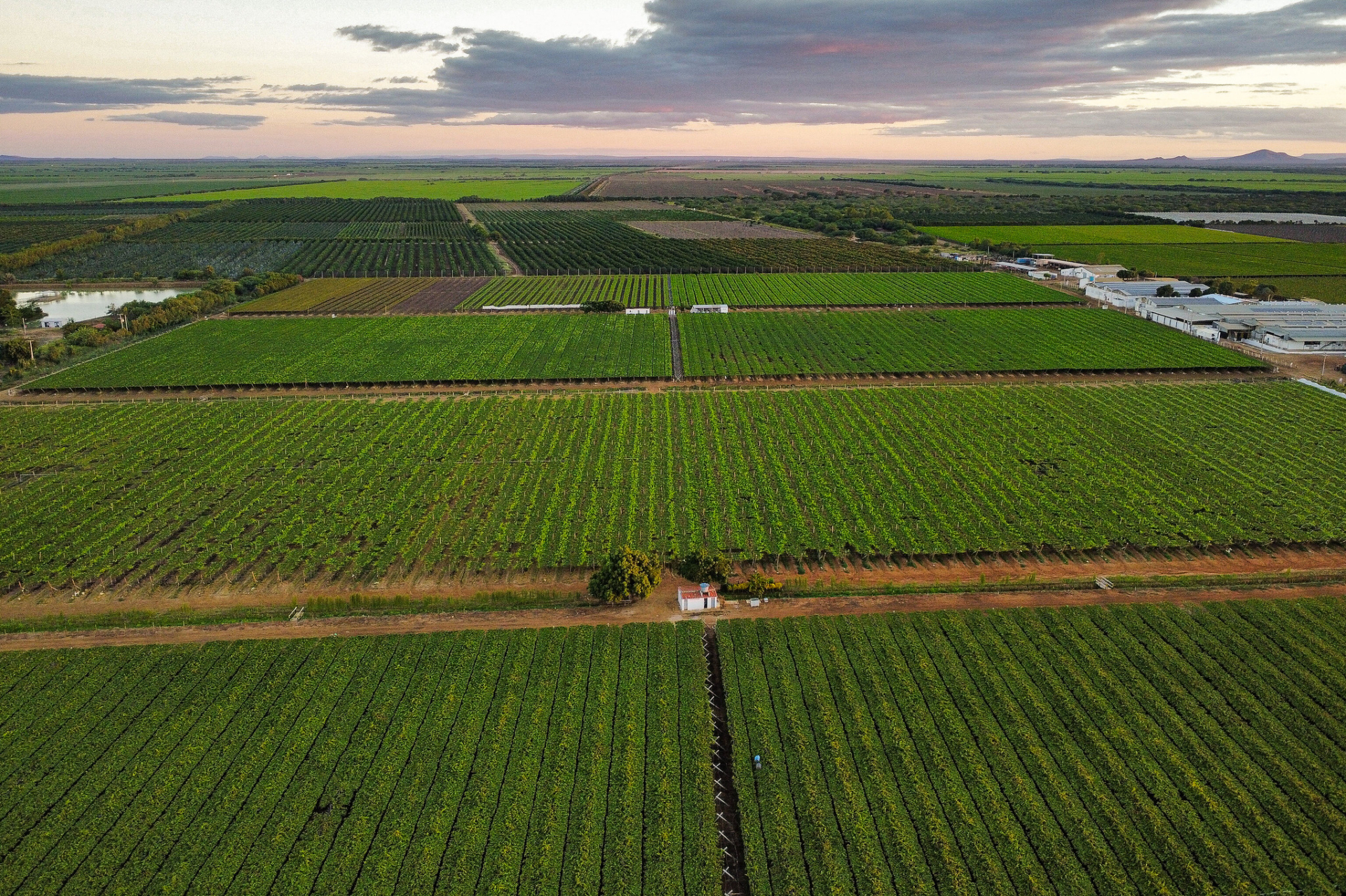 Produtores rurais em atividade no campo