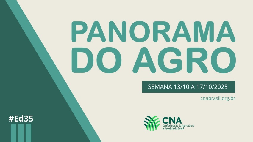 IMAGEM PA 13 A 17 DE OUTUBRO