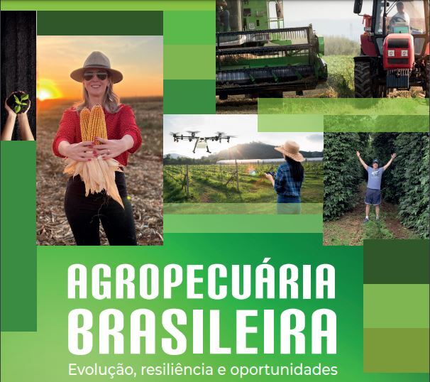 Livro IPEA Agropecuaria Brasileira