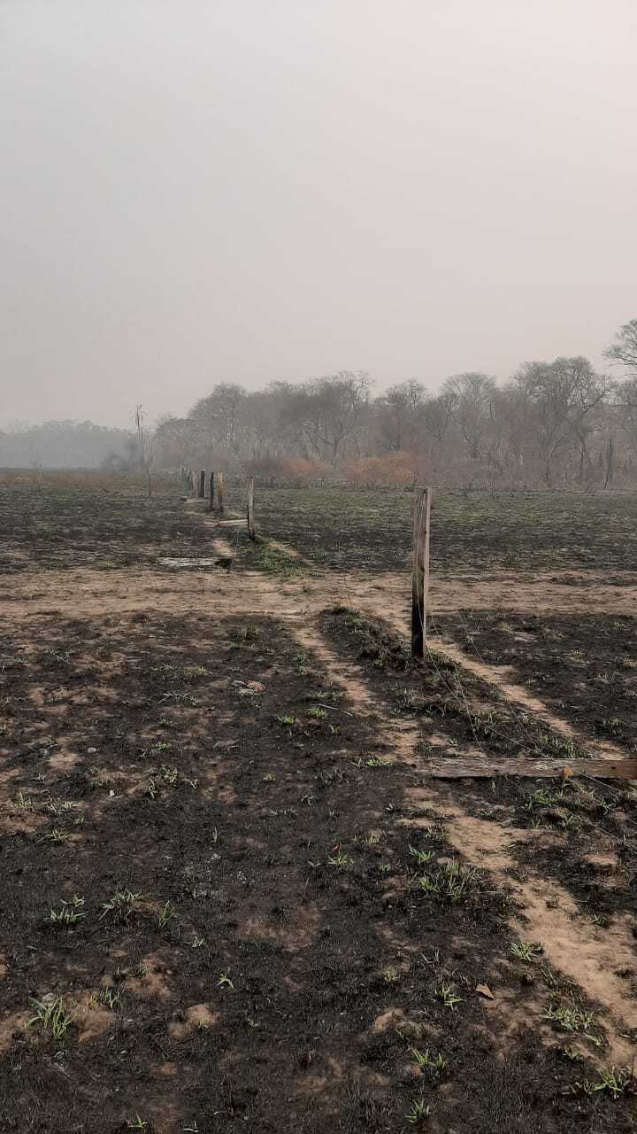 PROPRIEDADE QUEIMADA