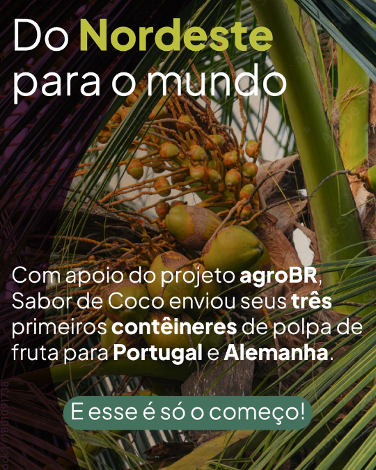 Sabor de coco