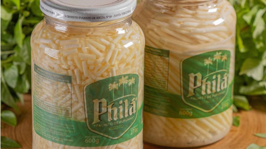 Puila palmito