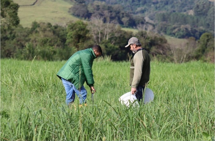 Técnico passa orientações ao produtor