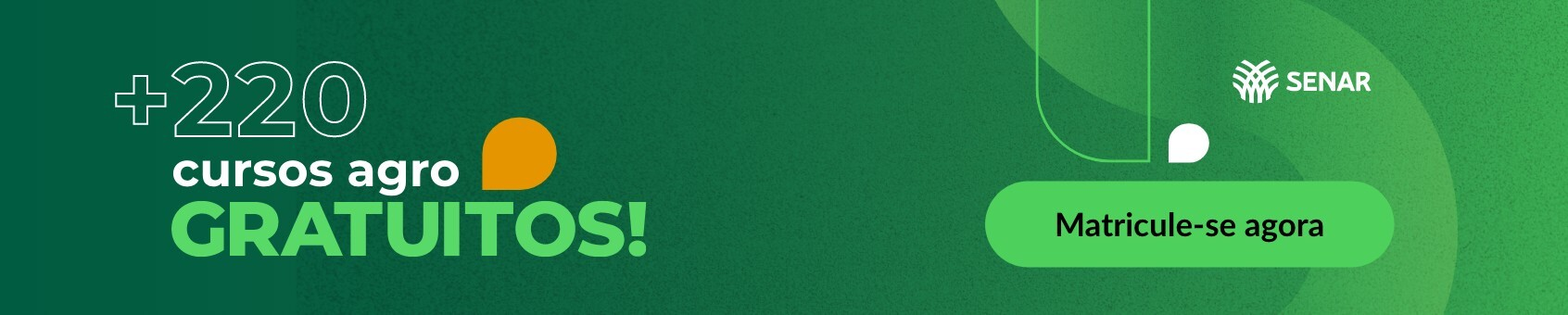 Imagem do banner rotativo