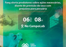 Coletiva: Faeg alerta produtores sobre ações necessárias diante de previsão de seca com prejuízos para pecuária