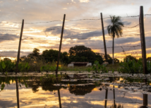 Sistema Famato/ Senar-MT convida produtores rurais a participarem do evento "Pantanal Tech"