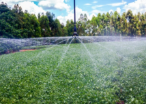 Sistema CNA/Senar vai aos EUA conhecer inovação na agricultura irrigada