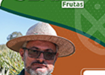 Senar Goiás convida para o Dia de Campo-cultura do abacaxi