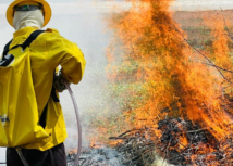 Senar-MT investe em treinamento contra incêndios e capacita mais de 800 brigadistas no primeiro semestre