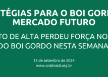 Movimento de alta perdeu força no mercado do boi gordo nesta semana