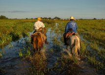 Fazenda Pantaneira Sustentável irá expandir atendimentos a produtores