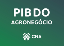 CNA e Cepea divulgam resultado do PIB do agronegócio no primeiro semestre