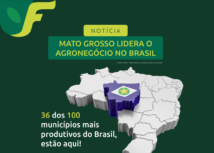 Mato Grosso lidera o agronegócio no Brasil: 36 dos 100 municípios mais produtivos estão no estado