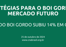 Arroba do boi gordo subiu 14% em outubro