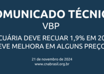 VBP da agropecuária deve recuar 1,9% em 2024, mesmo com leve melhora em alguns preços