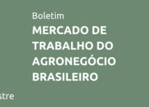 MERCADO DE TRABALHO DO AGRONEGÓCIO BRASILEIRO