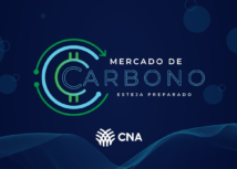 Mercado de Carbono