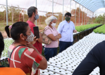 ATeG leva produtores rurais para conhecer empresa fornecedora da alface hidropônica no Amapá
