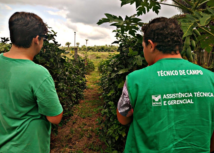 Senar Roraima leva consultoria para 60 Produtores Roraimenses de Fruticultura e Bovinocultura de Leite