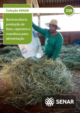 Bovinocultura - produção de feno, de capineira e de mandioca para alimentação