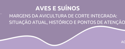 Margens da avicultura de corte integrada: situação atual, histórico e pontos de atenção